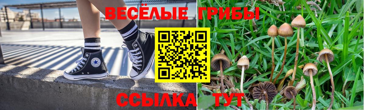 Семёнов  Галлюциногенные грибы Cubensis  Вход с VPN 